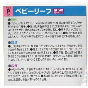 【ベビーリーフ】菜っぱミックス10種類【中原採...の詳細画像1