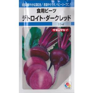 デトロイトダークレッド （9ml/約250粒）野菜種[春まき][秋まき]