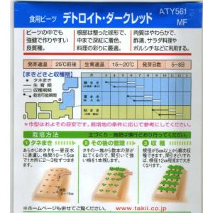 【食用ビーツ】デトロイトダークレッド 【タキイ...の詳細画像1