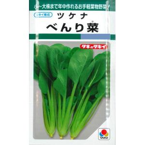 【ツケナ】べんり菜 【タキイのタネ】 野菜種（10ml）[春まき][秋まき]GF