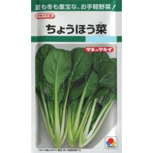 【ツケナ】ちょうほう菜【タキイ種苗】（7ml）野菜種[春まき][秋まき]GF