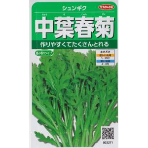 【シュンギク】中葉春菊 【サカタのタネ】（40ml）野菜種[春まき][秋まき]923271