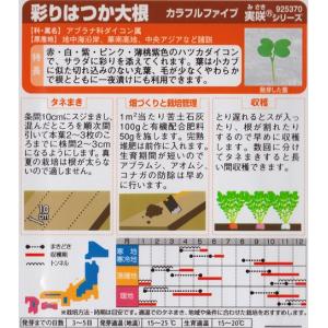 【彩りはつか大根】カラフルファイブ【サカタのタ...の詳細画像1