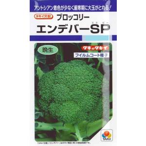 【ブロッコリー】エンデバーSP（エスピー） 【タキイ種苗】フイルムコート種子（150粒）[秋まき]DF