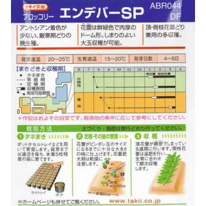 【ブロッコリー】エンデバーSP(エスピー) 【...の詳細画像1
