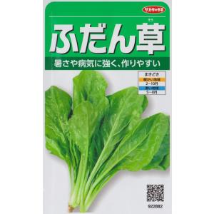 【ふだん草】 【サカタのタネ】（30ml）野菜種[春まき][秋まき]922882