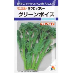 【茎ブロッコリー】グリーンボイス 【タキイ種苗】（0.9ml）野菜種[秋まき]DF