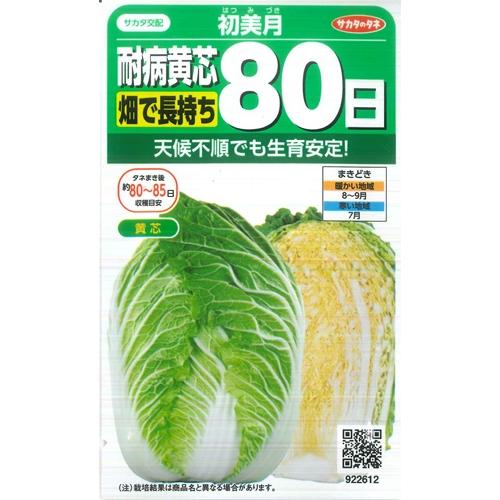 畑で長持ち【初美月】耐病黄芯80日ハクサイ【サカタのタネ】（0.8ml）野菜種[秋まき]白菜9226...