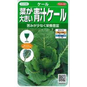 【ケール】葉が大きい青汁ケール 【サカタのタネ】（1ml）コラードタイプ野菜種エステEX[春まき][秋まき]922372