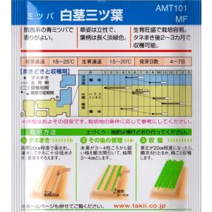 【関西系ミツバ】白茎三ツ葉(三つ葉) 【タキイ...の詳細画像1