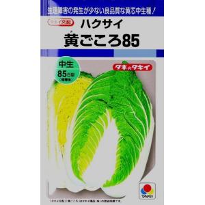 【ハクサイ】黄ごころ85 【タキイ種苗】（1ml）野菜種[秋まき]DF