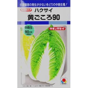 【ハクサイ】黄ごころ90　【タキイ種苗】（1ml）野菜種[秋まき]DF