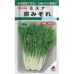 【ミズナ】京みぞれ 【タキイ種苗】（5ml）野菜種/水菜[春まき][秋まき]GF