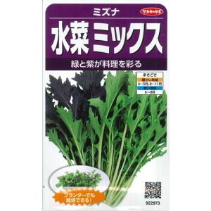 根深ネギ 種 『冬月の雫』 トキタ種苗/コート5000粒 : 種兵ネット