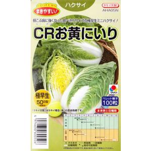【ハクサイ】CRお黄にいり(ペレット種子/100...の商品画像