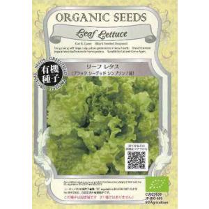 リーフレタス【ブラックシーデッドシンプソン】緑★...の商品画像
