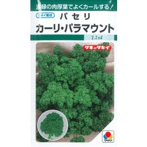 【パセリ】 カーリ・パラマウント【タキイ種苗】(...の商品画像