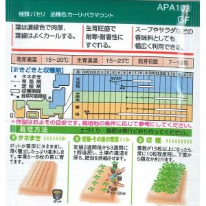 【パセリ】 カーリ・パラマウント【タキイ種苗】...の詳細画像1
