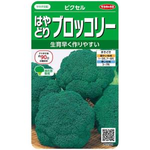 ピクセル（100粒）野菜種[春まき][夏まき]922501