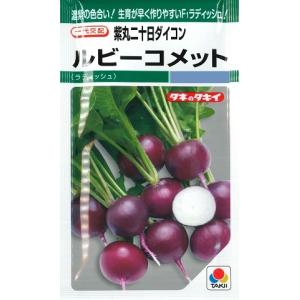 【紫丸ハツカダイコン】ルビーコメット【タキイ種苗】（310粒）野菜種/二十日ダイコン[春まき][秋まき]GF｜Hana Uta 米沢園芸 Yahoo!店