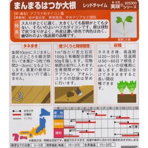 【まんまるはつか大根】レッドチャイム 【サカタ...の詳細画像1