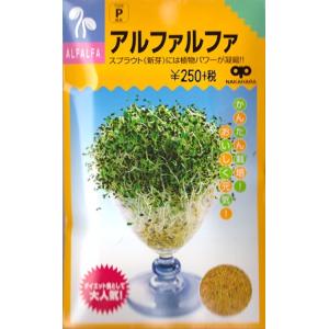 アルファルファ（25ml）野菜種[周年まき]