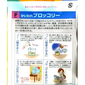 【スプラウト】かいわれブロッコリー【中原採種場...の詳細画像1