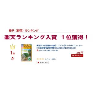 【スプラウト】かいわれブロッコリー【中原採種場...の詳細画像2