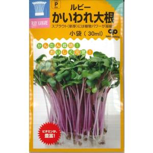 【スプラウト】ルビーかいわれ大根【中原採種場】(...の商品画像