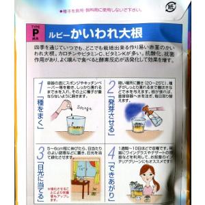 【スプラウト】ルビーかいわれ大根【中原採種場】...の詳細画像1