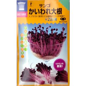 サンゴかいわれ大根（25ml）野菜種