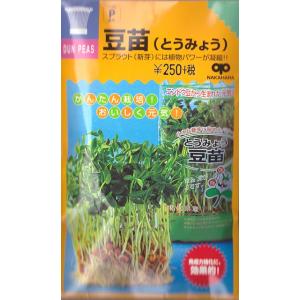 豆苗（とうみょう）（40ml）野菜種