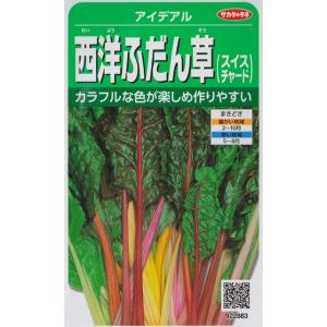 【西洋ふだん草】アイデアル（スイスチャード） 【サカタのタネ】（3ml）野菜種[春まき][秋まき]9...