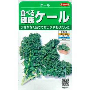 【ケール】食べる健康ケール 【サカタのタネ】（5ml）野菜種[春まき][秋まき]922371
