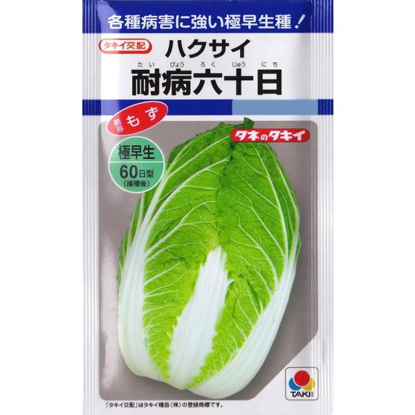 【ハクサイ】耐病六十日（略称：もず） 【タキイ種苗】（2.2ml）野菜種[秋まき]DF