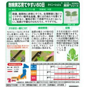 【ミニ白菜】タイニーシュシュ 耐病黄芯育てやす...の詳細画像1