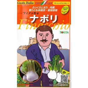 【ナポリ】フローレンスフェンネル★イタリアの野菜【トキタ種苗】（80粒）フィノッキォ[春まき][秋ま...