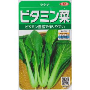 ビタミン菜野菜種922881