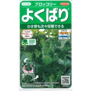 【ブロッコリー】よくばり 【サカタのタネ】(0....の商品画像