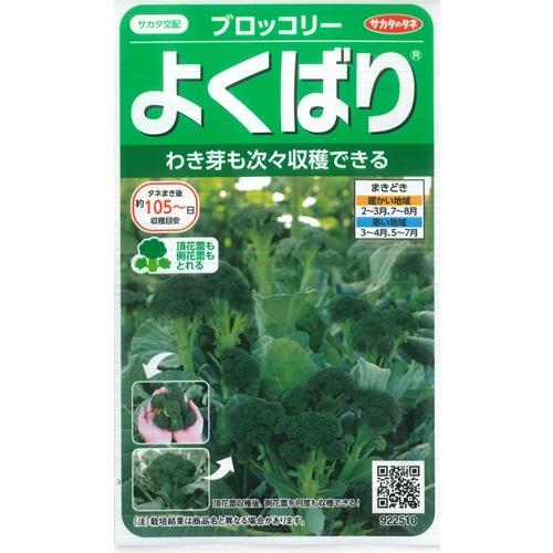 【ブロッコリー】よくばり 【サカタのタネ】(0.4ml）野菜種