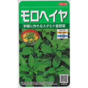 モロヘイヤ【サカタのタネ】（0.8ml）野菜種[春まき]923083