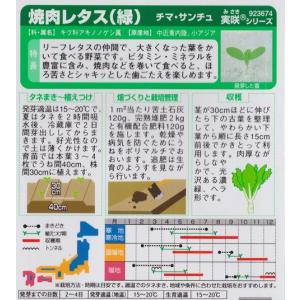 【チマ・サンチュ】焼肉レタス(緑)【サカタのタ...の詳細画像1