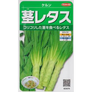 【茎レタス】ケルン【サカタのタネ】（1.2ml）野菜種[春まき][秋まき]923579