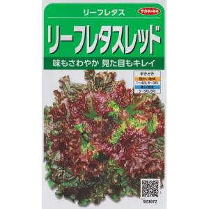 鉢植えミニトマトミックス】レジナミックス【サカタのタネ】（0.6ml