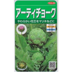 アーティチョーク（1.3ml）ハーブ