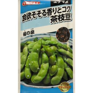 【エダマメ】うまい茶枝豆 福の泉【タキイ種苗】（40ml/約90粒）野菜種[春まき]AED159