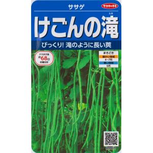 【ササゲマメ】けごんの滝【サカタのタネ】（6.5ml）野菜種[春まき] 927077