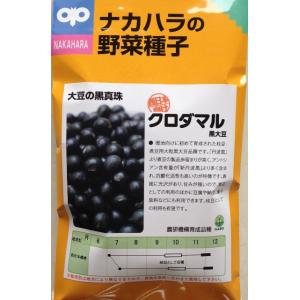 サカタのタネ（サカタノタネ） 【ダイズ】丹波黒大粒大豆 【タキイ種苗
