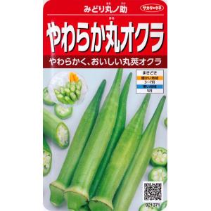 【やわらか丸オクラ】みどり丸ノ助【サカタのタネ】（12ml）野菜種[春まき]921371