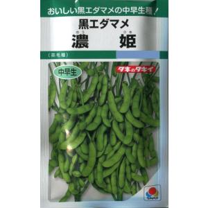 【黒エダマメ】濃姫（のうひめ）【タキイ種苗】（35ml）【中早生】野菜種[春まき]